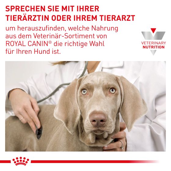 RC Vet Expert Dog Pill Assist Medium Large Dogs 224gr