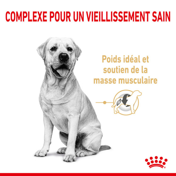 Royal Canin dog Special Labrador Retriever 5+12kg