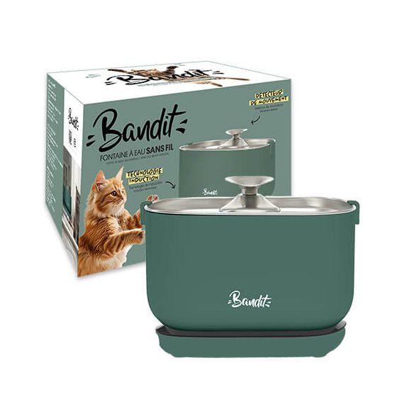 Bandit Green Wireless Fountain
