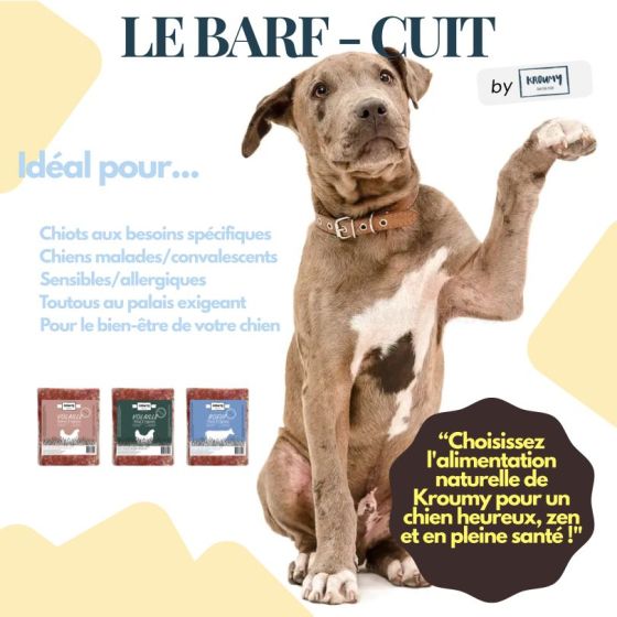 Kroumy Chien COOKED de 15 à 18kg