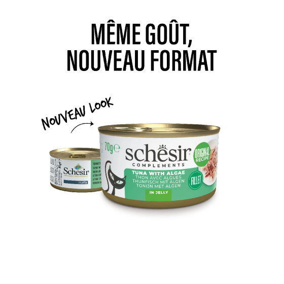 Schesir Cat Boite 70g Thon et Algues