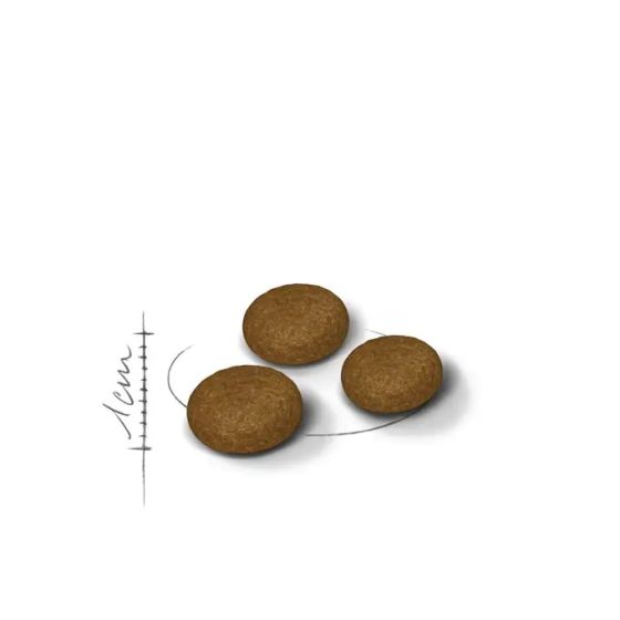 Royal Canin chat Exigent Fussy2kg