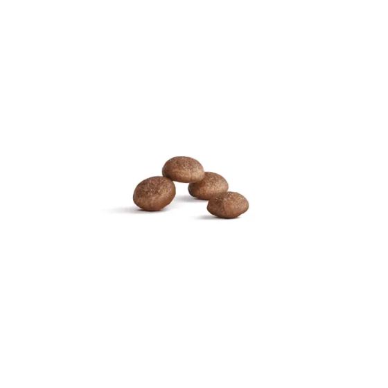 Royal Canin Feline Ageing cat +152kg