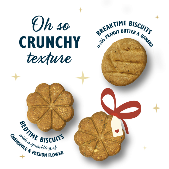 Calendrier de l'Avent Lily's Kitchen Chien 68gr