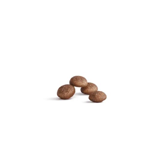 Royal Canin Feline Ageing cat +11400gr