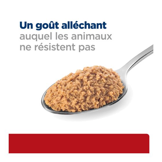 Prescription Diet™ Canine i/d™ Beef 12x360gr