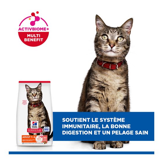 Hill's feline adulte Saumon 1.5kg