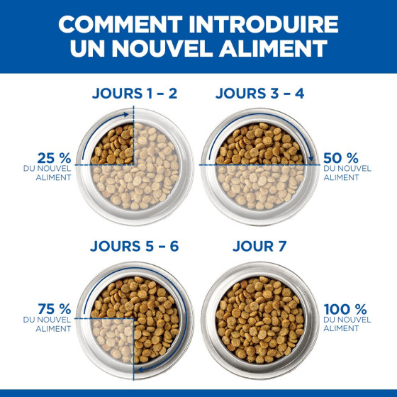 Hill's Feline Boite Mousse Saumon 12x85gr
