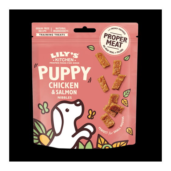 Lily's Kitchen Dog Treat Puppy Chicken Salmon 70gr