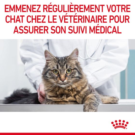 Royal Canin chat humide Urinary sachet 85g