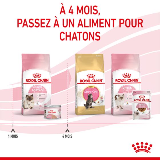 Royal Canin chat humide Babycat boite 195g