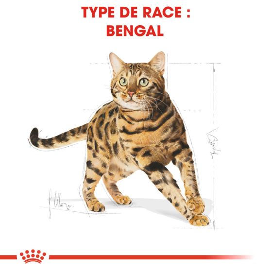 Royal Canin chat BREED BENGAL10kg