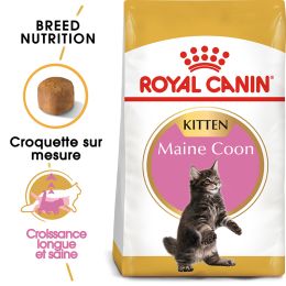 Royal Canin cat BREED MAIN COON KITTEN 4Kg