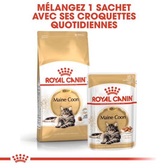 Royal Canin chat BREED MAINE COON 400gr
