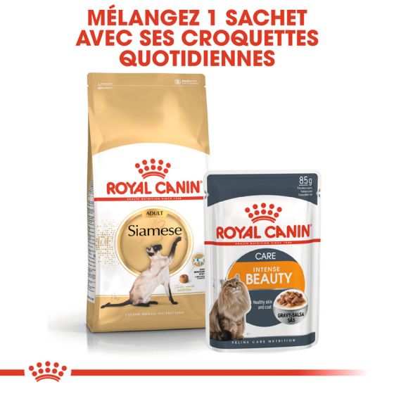 Royal Canin chat BREED SIAMESE 10kg