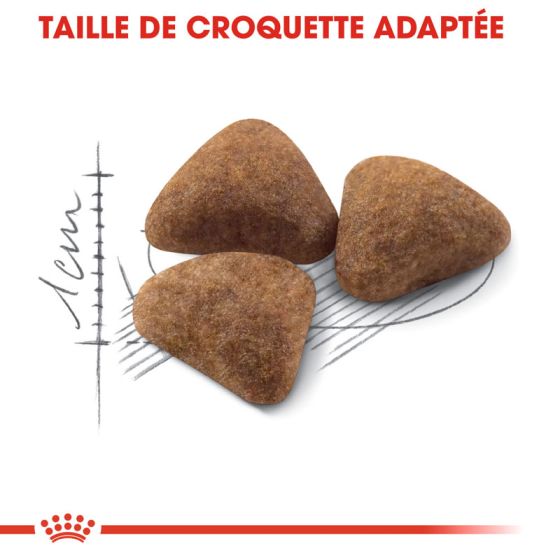 Royal Canin chat INDOOR 400gr