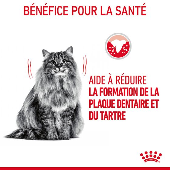 Royal Canin cat DENTAL Care 3.5 kg