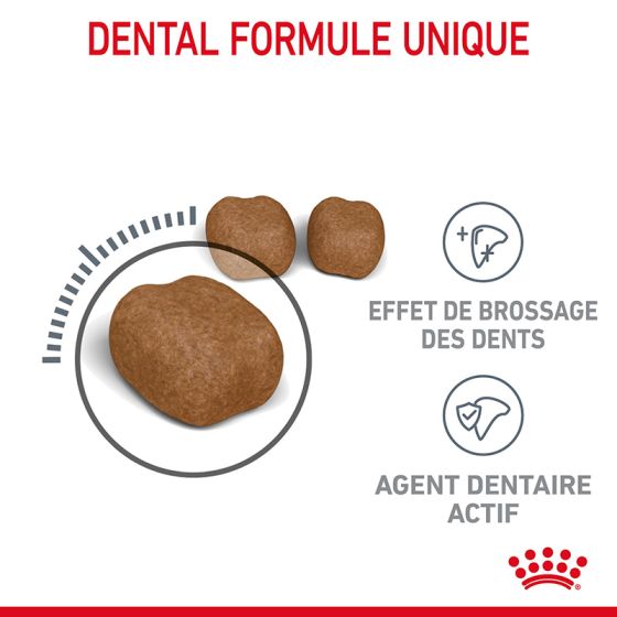 Royal Canin cat DENTAL Care 400g