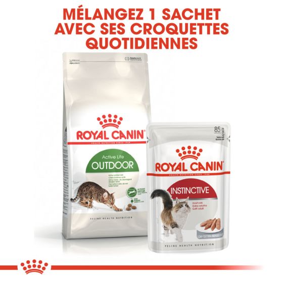 Royal Canin cat OUTDOOR 10kg