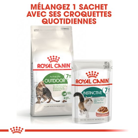 Royal Canin cat OUTDOOR+7 10kg (Delay between 2 to 6 days)