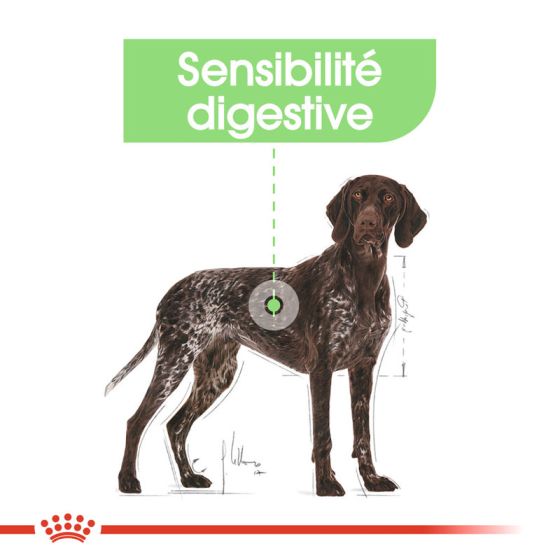 Royal Canin dog SIZE N maxi Digestive Care 12kg (sur commande, délai 48h)