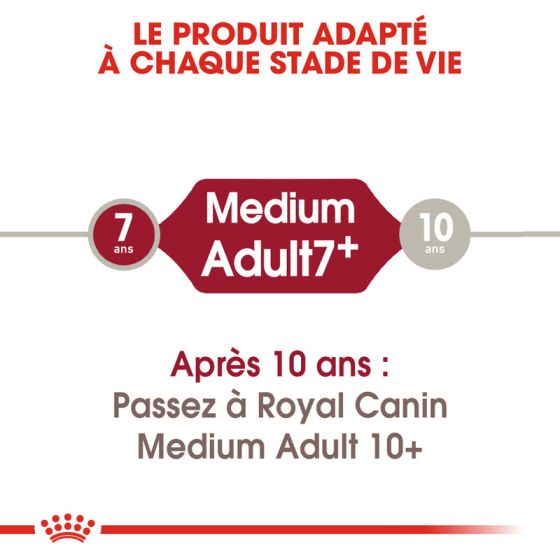 Royal Canin dog SIZE N medium adult 7+15kg (Delay 2 to 4 days)