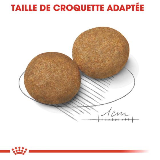 Royal Canin dog SIZE N medium adulte 15kg