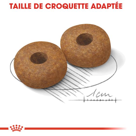 Royal Canin dog SIZE N medium Aging 10+3kg (Delay 2 to 5 days)