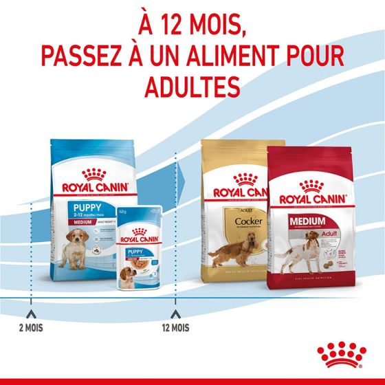 Royal Canin dog SIZE N medium junior4kg