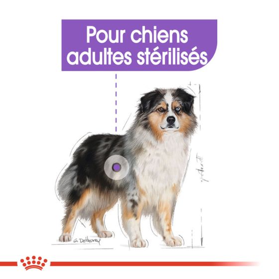 Royal Canin dog SIZE N medium Sterilised 12kg