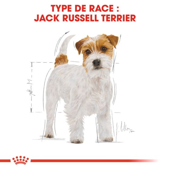 Royal Canin dog Spécial Jack Russel 3kg