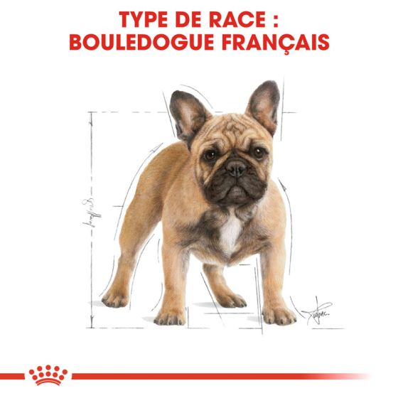 Royal Canin dog Special Bulldog Francais Adult 9Kg