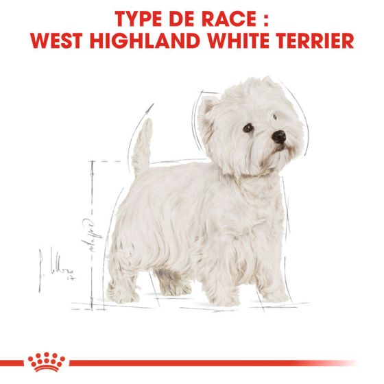 Royal Canin dog Special Westie 1.5 Kg