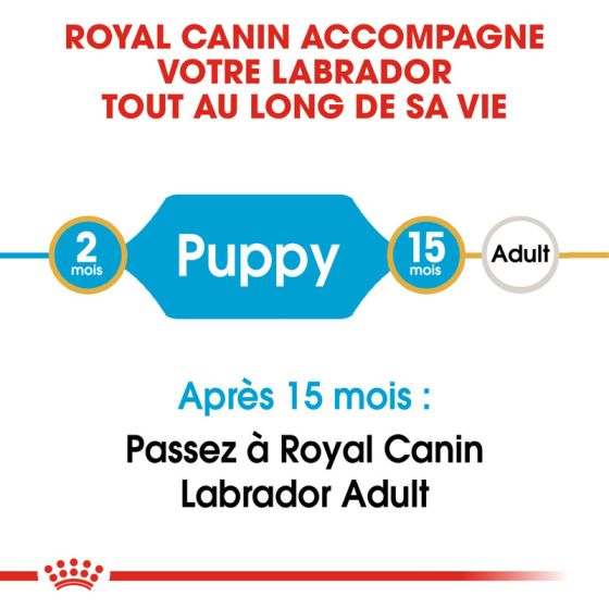 Royal Canin dog Special Labrador Retriever junior 3Kg