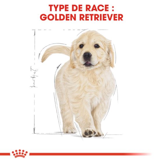 Royal Canin dog Special Golden Retriever junior 12Kg