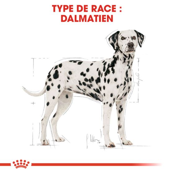 Royal Canin dog Spécial Dalmatien Adult 12Kg (Délai 2-3 jours)