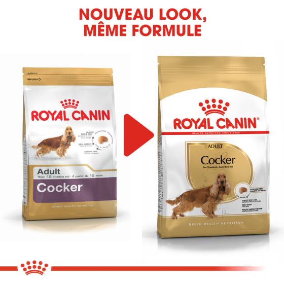 Royal Canin dog Spécial Cocker 12Kg(Sous 2 à 5 jours)