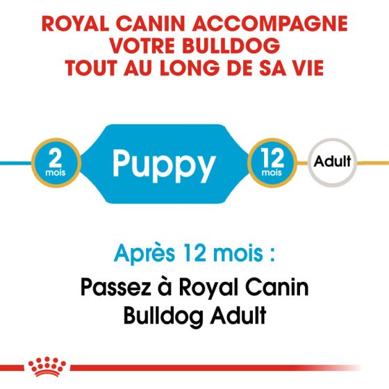 Royal Canin dog Spécial Bulldog Anglais Junior12Kg