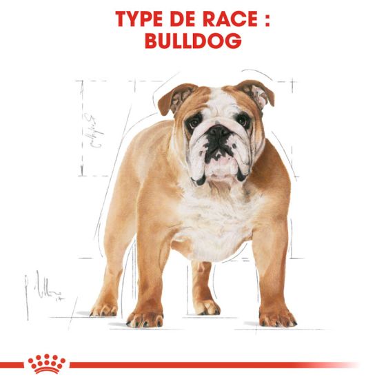 Royal Canin dog Special Bulldog 3Kg