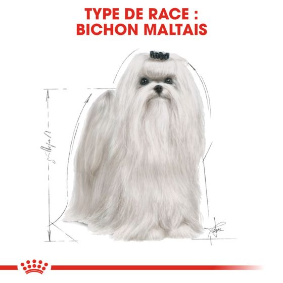 Royal Canin dog Special Bichon Maltese 500gr