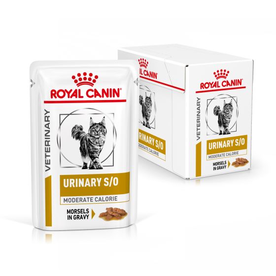 RC Vet Cat Urinary S/O Moderate Calorie in Gravy 4x12x85gr
