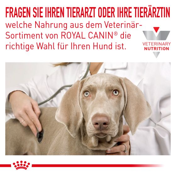 RC Vet Dog Sensitivity Control 1,5kg