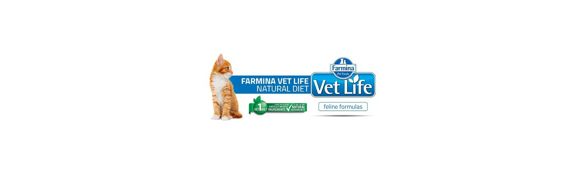 Farmina VetLife Dry Cat