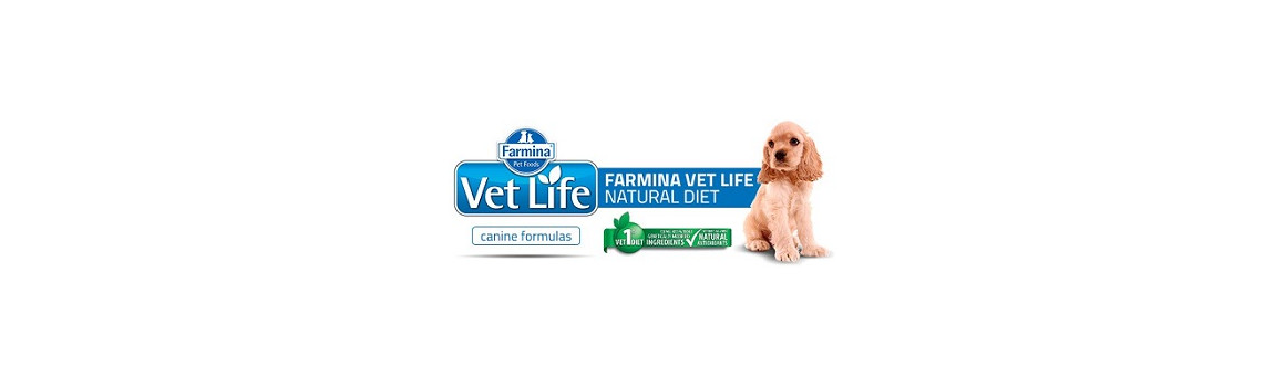 Farmina VetLife Wet Dog